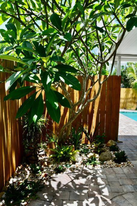 Merritt Island Tropical Retreat Near Beaches, Cruise Terminals מראה חיצוני תמונה
